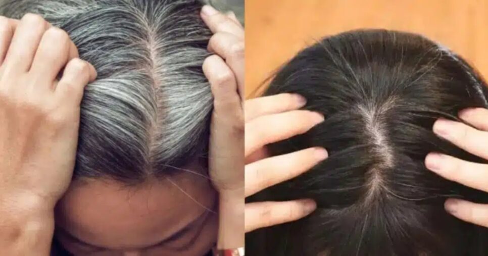 Tinta natural com 4 ingredientes dá fim ao cabelo branco - (Montagem / TV FOCO)