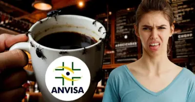 Pedaços de inseto no café: Decreto da ANVISA traz descoberta suja em bebida nº1 das donas de casa
