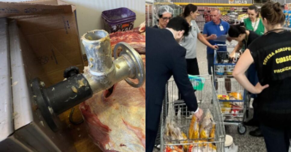 Estabelecimentos foram autuados após banquete de nojeira (Foto Reprodução/Montagem/ClickRDC)