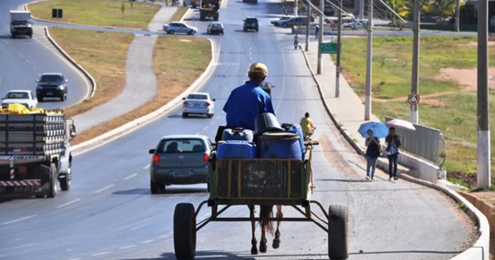 Belo Horizonte proíbe carroças no trânsito em 2026 (Foto: Divulgação)