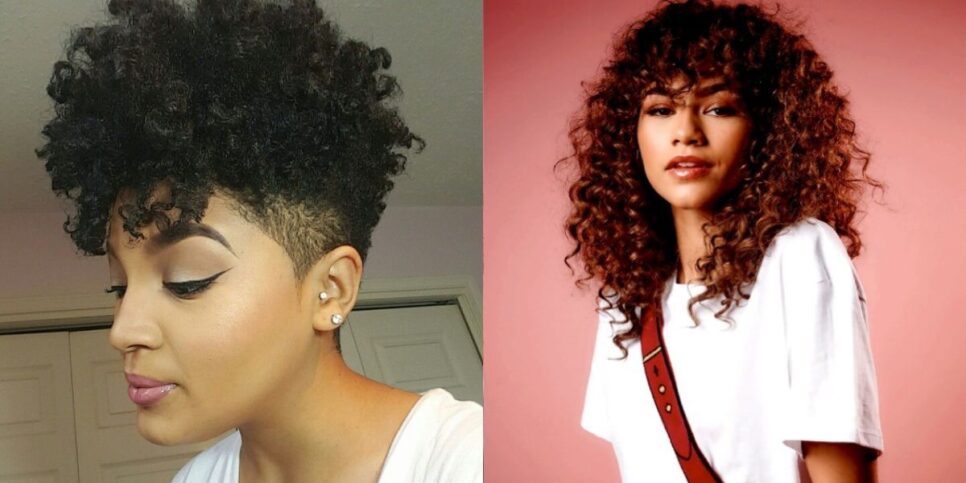 Tapered Cut e Curly Shaggy (Reprodução: Montagem TV Foco)