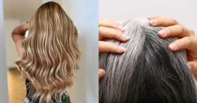 Tchau fios brancos: 3 cortes de cabelo com luzes para rejuvenescer e disfarçar grisalhos