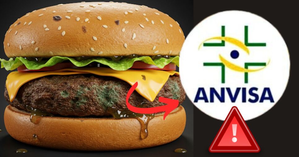 Fábrica de carnes processadas para Hambúrguer é interditada e acende alerta da ANVISA (Foto Reprodução/Montagem/Tv Foco/Canva)