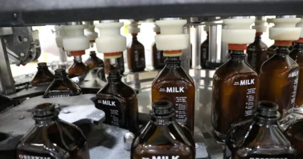 Garrafas de leite da Oberweis Dairy Inc. (Foto Reprodução/Chicago Tribune)