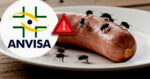 Linguiça recheada com moscas em mercado acende alerta da ANVISA(Foto Reprodução/Montagem/Tv Foco/Canva/GMN)