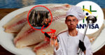 Imagem PreCarregada
