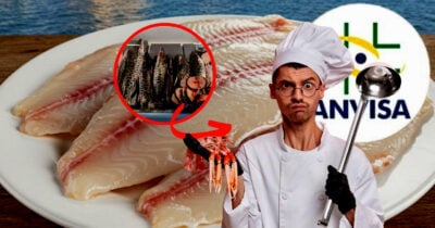 Mercado de pescados levanta alerta da ANVISA após descoberta em São Luís, MA (Foto Reprodução/Montagem/Tv Foco/Lennita/Canva)