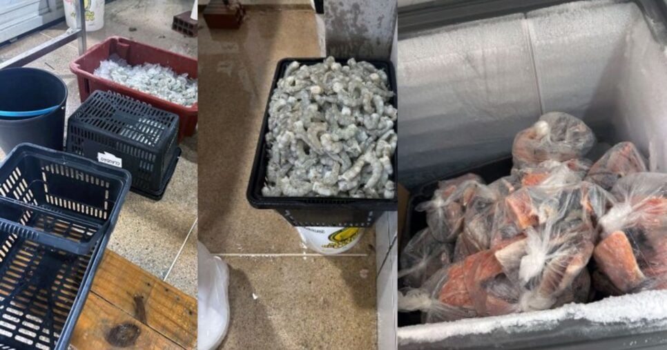 Cenário encontrado pela fiscalização (Foto Reprodução/AGVISA)