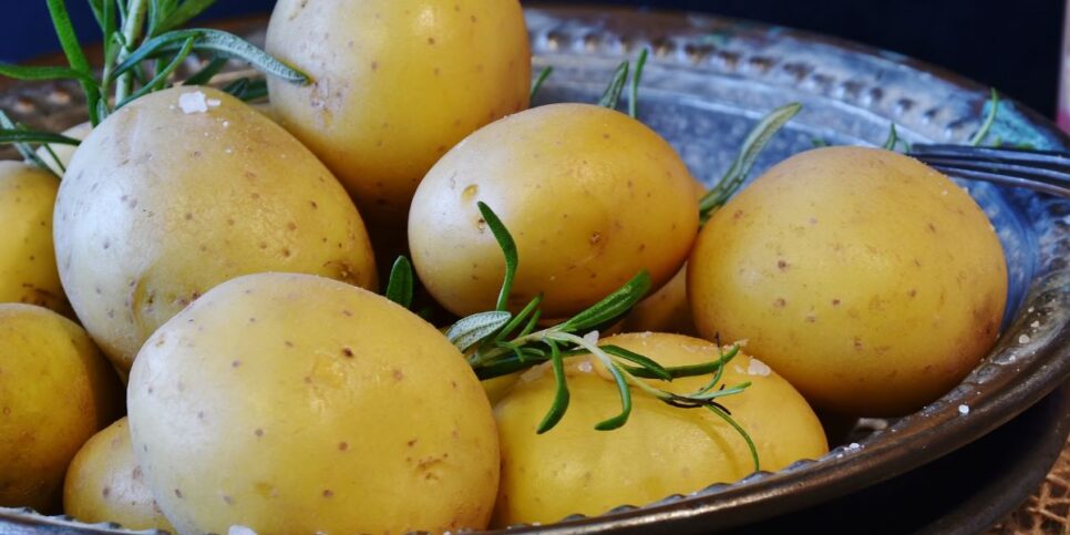 Batata, Rugas