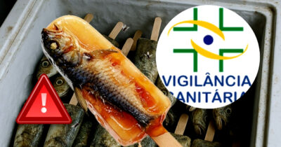 Vigilância interdita banca em mercado popular após descoberta chocante envolvendo a venda de peixes, em Cuiabá, MT (Foto Reprodução/Montage/TV Foco/Canva)