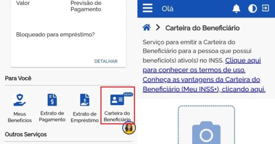 Carteira do Beneficiário (Foto: Reprodução/ Internet)