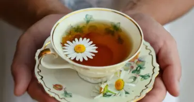 Elixir para pele madura: Chá potente de erva reduz rugas e rejuvenesce 15 anos