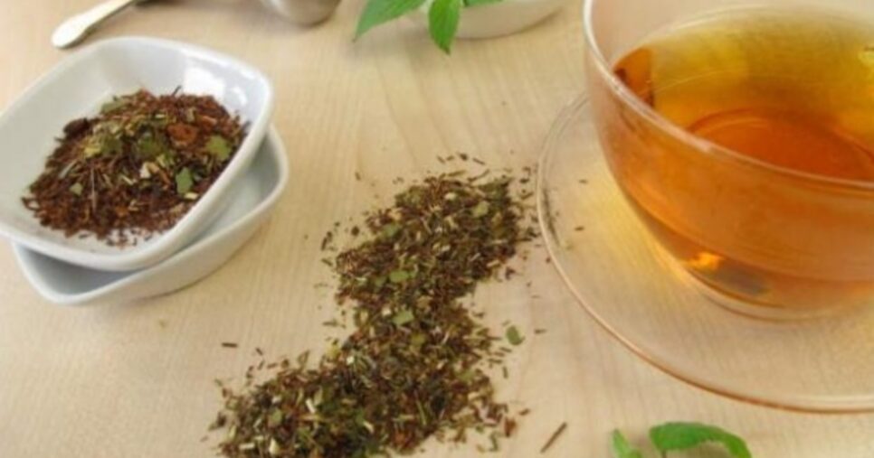 Chá de erva-mate (Foto: Reprodução/ Internet)