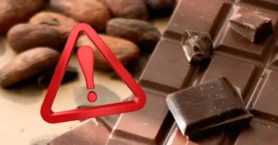 Chocolate com insetos? Veja como identificar e evitar riscos