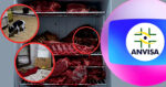 Globo confirma denuncia de maus tratos e presença de carne de cachorro e outros animais mortos em freezer (Foto Reprodução/Montagem/Tv Foco/Canva/Lennita)