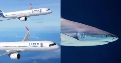 Como a LATAM está usando ‘pele de tubarão’ para baratear voos