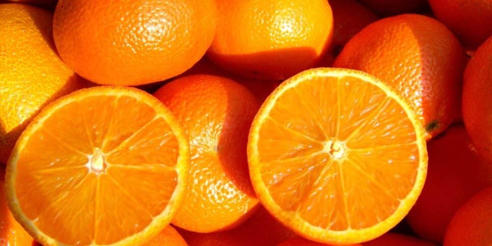 Laranjas (Foto: Canva)