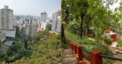 Tom Jobim e Mata das Borboletas choram: 2 parques populares de BH são esmagados por nº1 de MG em 2025