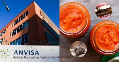Pelo e inseto: ANVISA revela 2 nojeiras em molhos de tomate (Foto: Reprodução/ Internet)