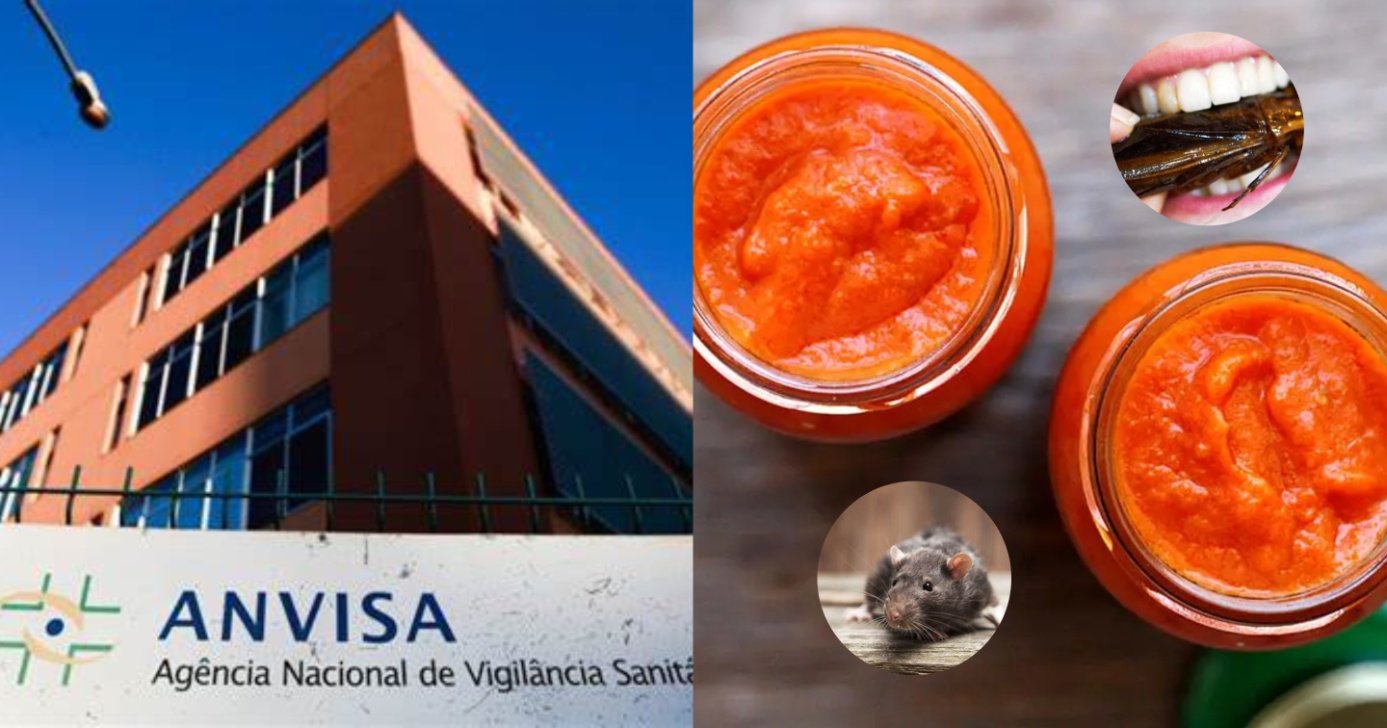 Pelo e inseto: ANVISA revela 2 nojeiras em molhos de tomate (Foto: Reprodução/ Internet)