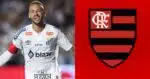 Imagem PreCarregada