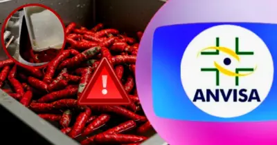 Salsichas na pia e mofo: Globo confirma interdição da ANVISA contra fábrica nº1 em Florianópolis, SC