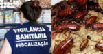 Vigilância Sanitária confirma interdição de 3 restaurantes e até infestação de baratas (Foto: Divulgação)