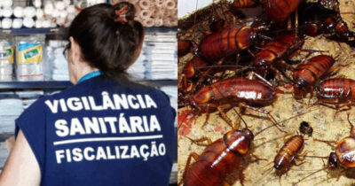 Vigilância Sanitária confirma interdição de 3 restaurantes e até infestação de baratas (Foto: Divulgação)