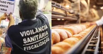 Vigilância Sanitária interdita fábrica nº1 de pães por nojeira