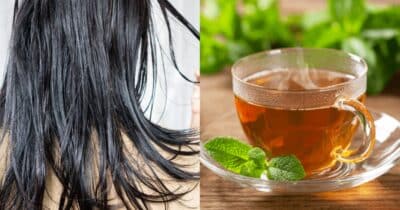 Chá potente deixa cabelos brilhosos e sem frizz - Foto: Montagem