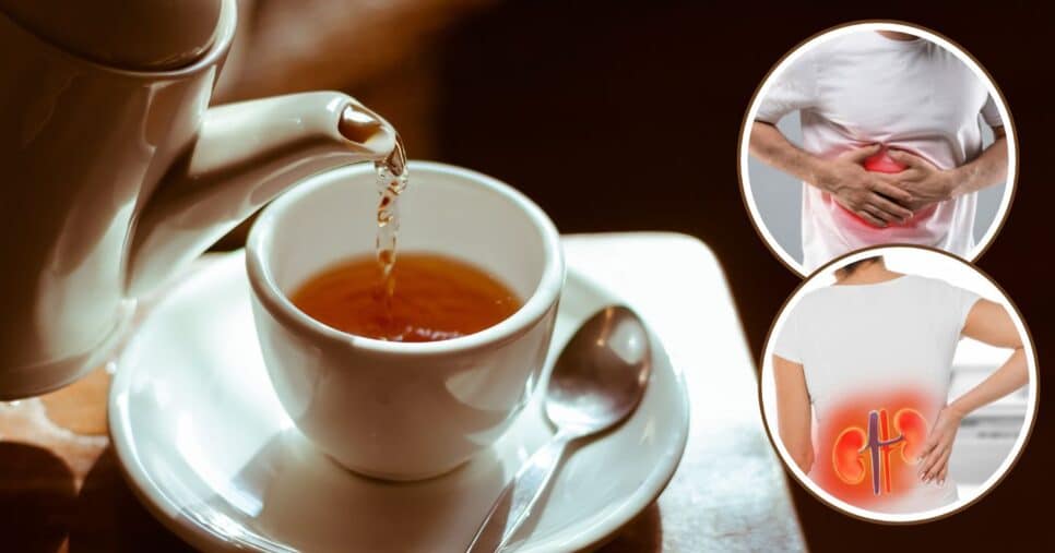 Chá natural elimina a gordura no fígado e melhora a função renal (Foto: Reprodução / Canva / Montagem TV Foco)