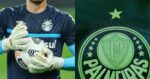 Palmeiras dá rasteira no Grêmio e arma contratação de goleiro nº1 - (Montagem / TV FOCO)