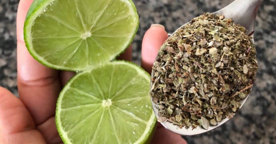 Limão e orégano são ingredientes do chá - Foto: Montagem