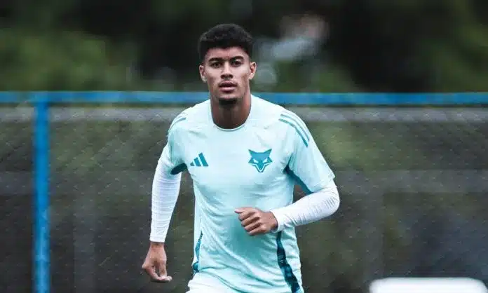 Nicolas Pontes pode entrar em campo pela Sul-Americana (Foto: Reprodução/ Internet)