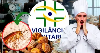Passe livre de insetos e baratas na comida: Vigilância Sanitária interdita padaria nº1 após cenário de horror