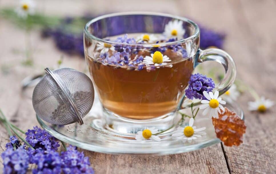 Chá de Lavanda - Foto Internet