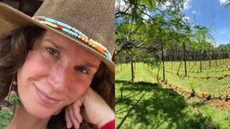 Vanessa Lóes, atriz e esposa do astro, e sítio da família focado no plantio de cevada (Foto: Reprodução/ Internet/ Instagram)
