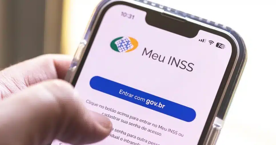 Aplicativo Meu INSS (Foto: Reprodução)