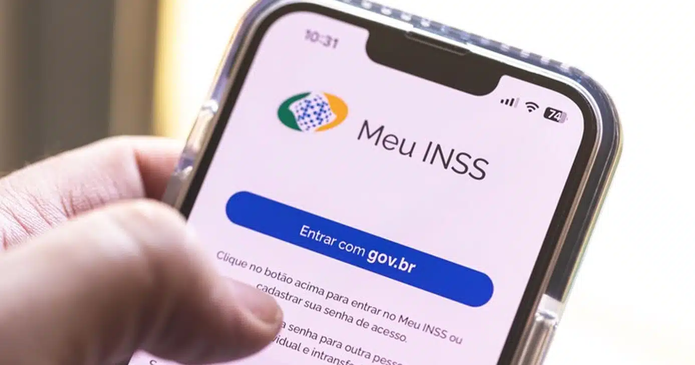 Aplicativo Meu INSS (Foto: Reprodução)