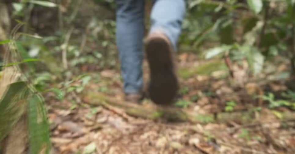 Após queda de avião, Matheus sobreviveu 24 dias perdidos na floresta (Foto: Reprodução)