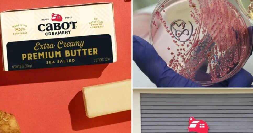 Cabot Creamery passou por recall após risco por contaminação fecal (Foto Reprodução/ New York Post)