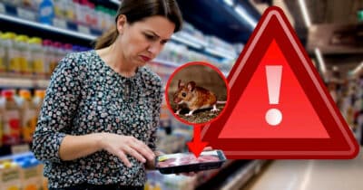 Carne com pelo de rato motiva denúncia contra marca famosa dos supermercados (Foto Reprodução/Montagem/Lennita/Tv Foco/Canva)