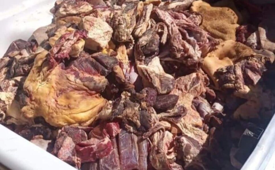 Carnes em decomposição encontradas em mercado nº1 da Bahia (Foto: Reprodução/I Bahia)