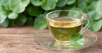 Chá antioxidante trata as varizes (Foto: Divulgação)