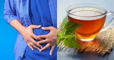 Chá caseiro acaba com a infecção urinária - Foto Reprodução Internet