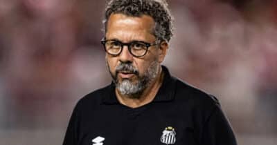 Cleber Xavier é o técnico do Santos (Foto: Raul Baretta/ Santos FC)