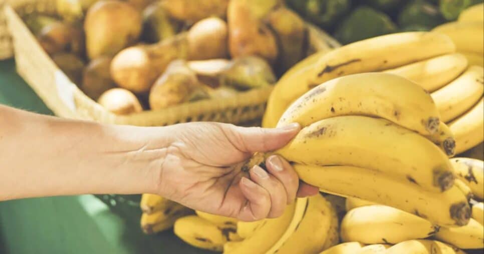 Escolha bem suas frutas (Foto: Reprodução/ Internet)