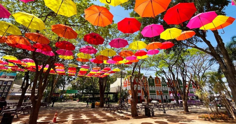 Expoflora 2025 vai acontecer em setembro (Foto: Divulgação)
