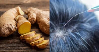 Gengibre e mais um ingrediente te a escurecer fios brancos (Foto: Divulgação)