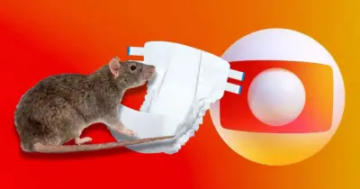 “Rato dentro da fralda”: Globo desmascara marca popular com absurdo e até sangue do roedor